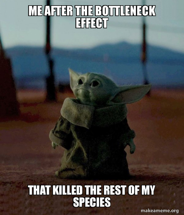 Baby Yoda meme