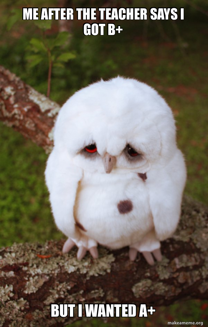 Me after the teacher says i got B+ But i wanted A+ - Sad Owl Meme Generator