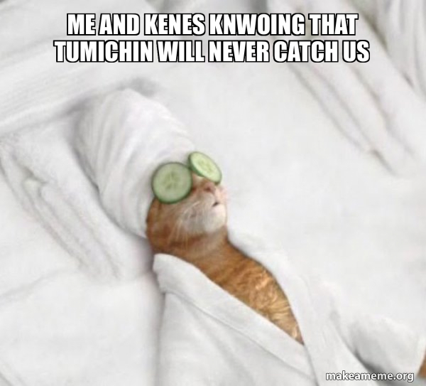 Pampered Cat Meme meme