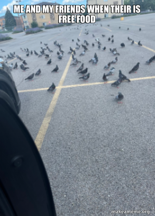 Me and my friends when their is free food Meme Generator