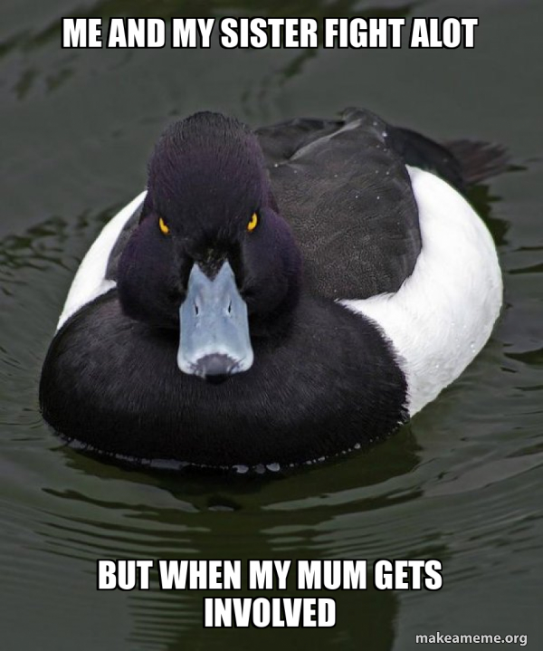 Revenge Duck ( Angry Advice Duck ) meme