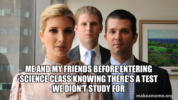 The Trump Kids Eric, Donald Jr and Ivanka meme