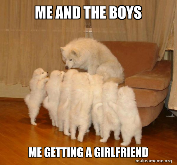 Storytelling Dog meme