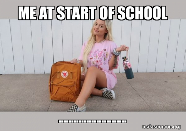 VSCO Girl meme