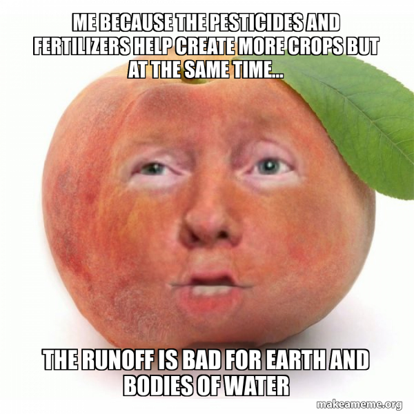 Impeached Donald Trump meme