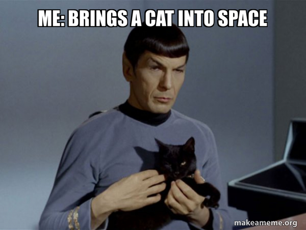 Spock and Cat Meme meme