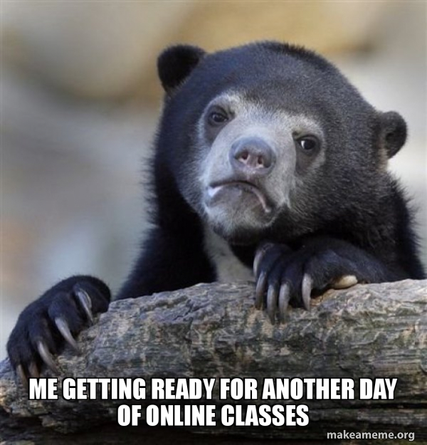 Confession Bear meme