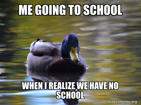 Zen Advice Mallard meme