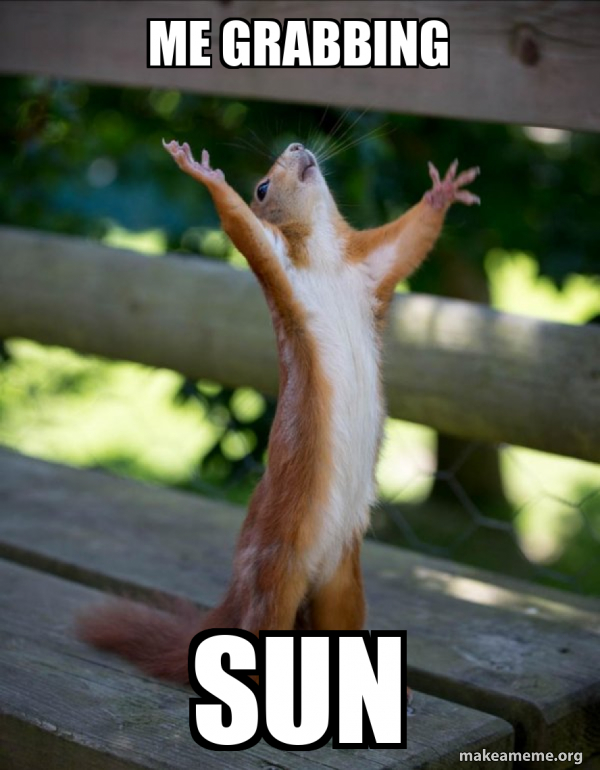Happy Squirrel meme