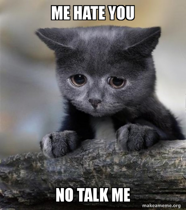 Confession Cat meme