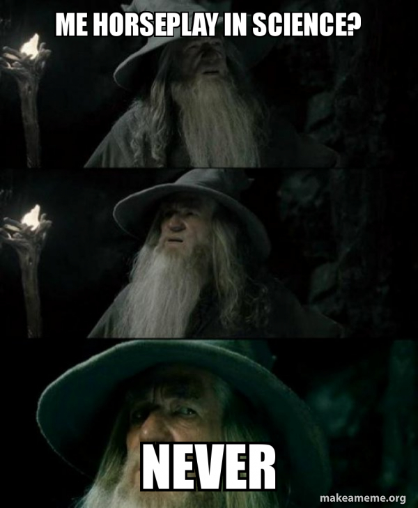 Confused Gandalf meme