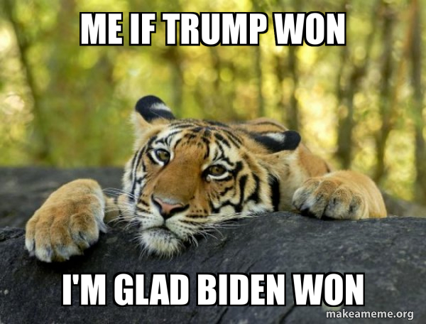 Confession Tiger meme