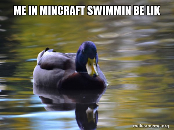 Zen Advice Mallard meme