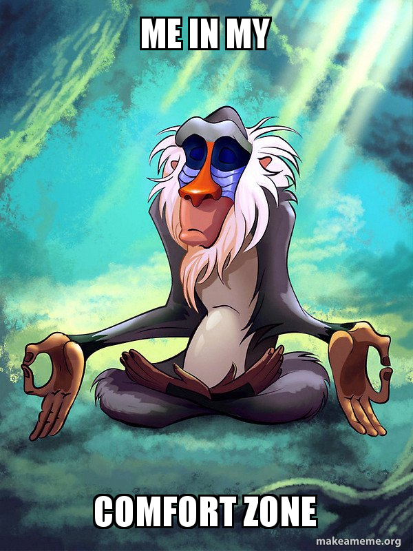 Me In My Comfort Zone Rafiki Meditating Lion King Make A Meme
