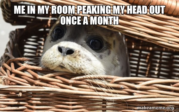 Impending Doom Seal meme