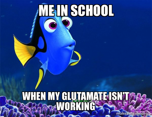 Dory from Nemo (5 second memory) meme