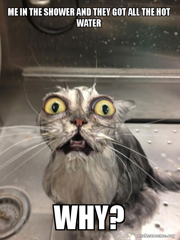 Me In The Shower And They Got All Hot Water Why Cat Bath Cat Bath Meme