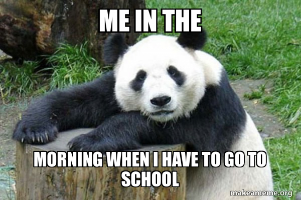 Confession Panda meme