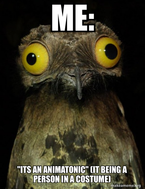 Weird Stuff I do Potoo meme