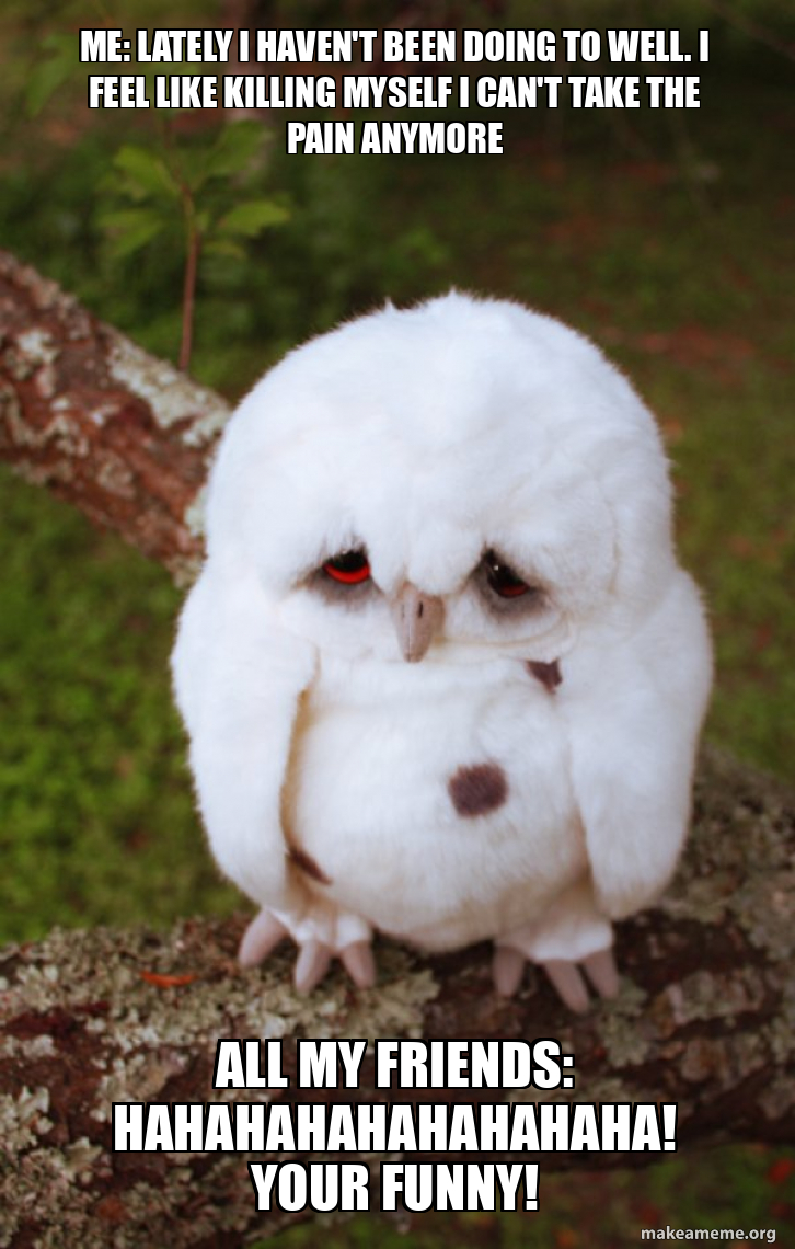 Me: lately I haven't been doing to well. I feel like killing myself I can't  take the pain anymore All my friends: Hahahahahahahahaha! Your funny! - Sad  Owl Meme Generator, image size:726x1140