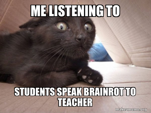 Me Listening To Students Speak Brainrot To Teacher Schitzo Cat Meme