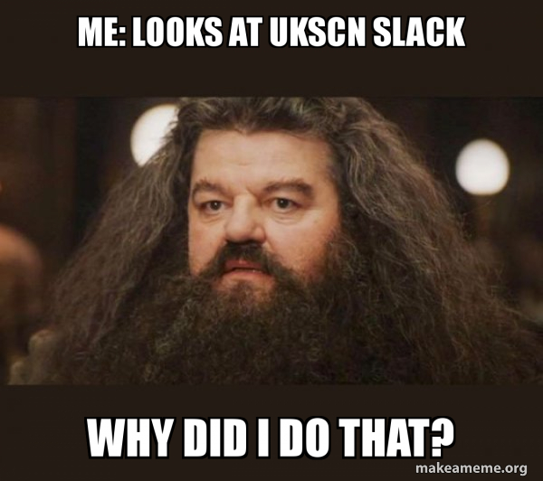 Hagrid - I should not have said that meme