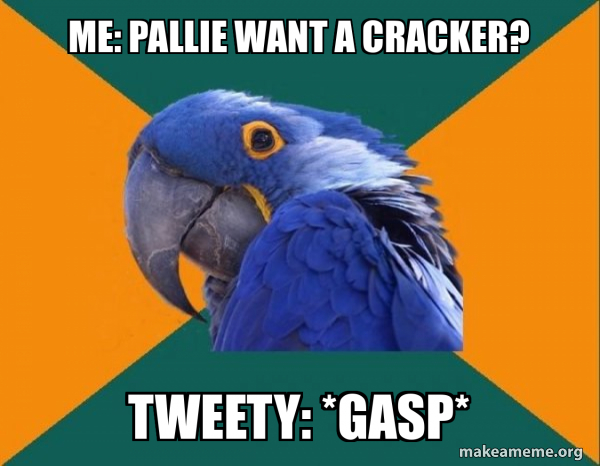 Paranoid Parrot meme