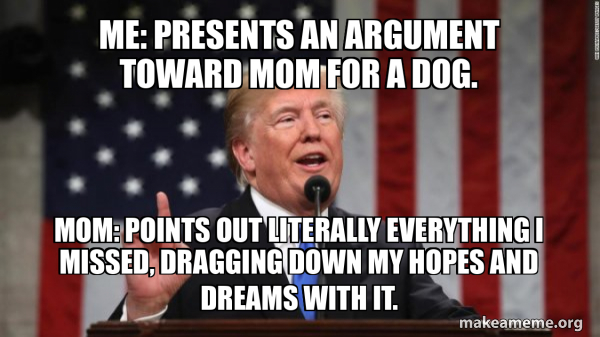 Donald Trump meme
