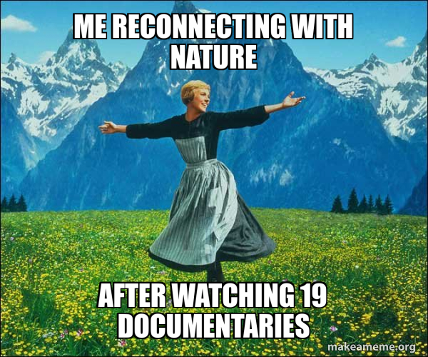 Sound of Music meme