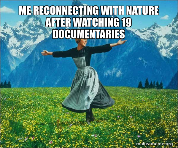 Sound of Music meme