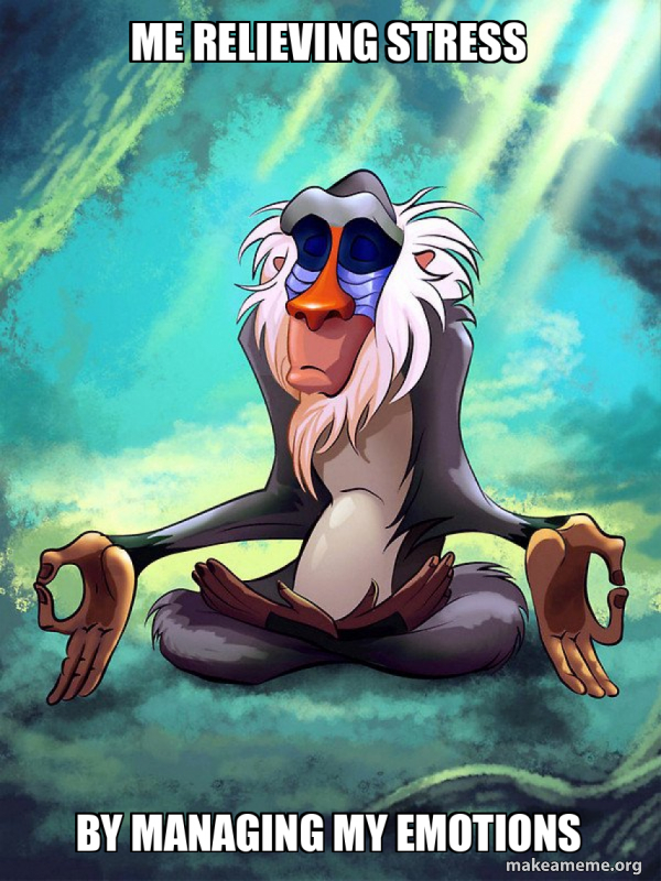 Rafiki Meditating - Lion King meme