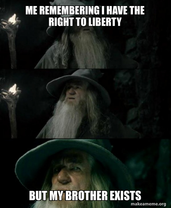 Confused Gandalf meme