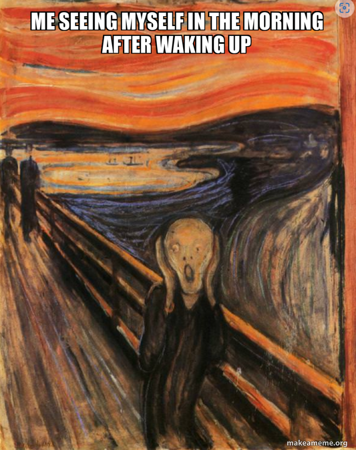 me seeing myself in the morning after waking up Meme Generator
