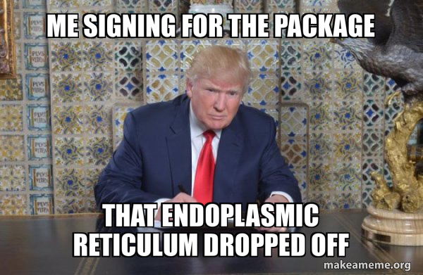 Donald Trump Writing Speech meme