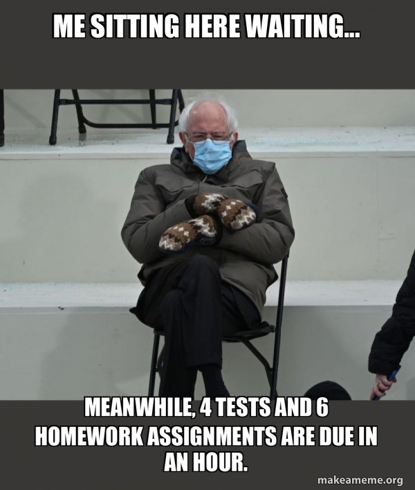 Bernie Sanders at the Inauguration meme