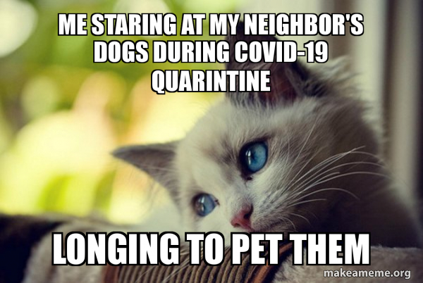me-staring-at-1848fbf586.jpg