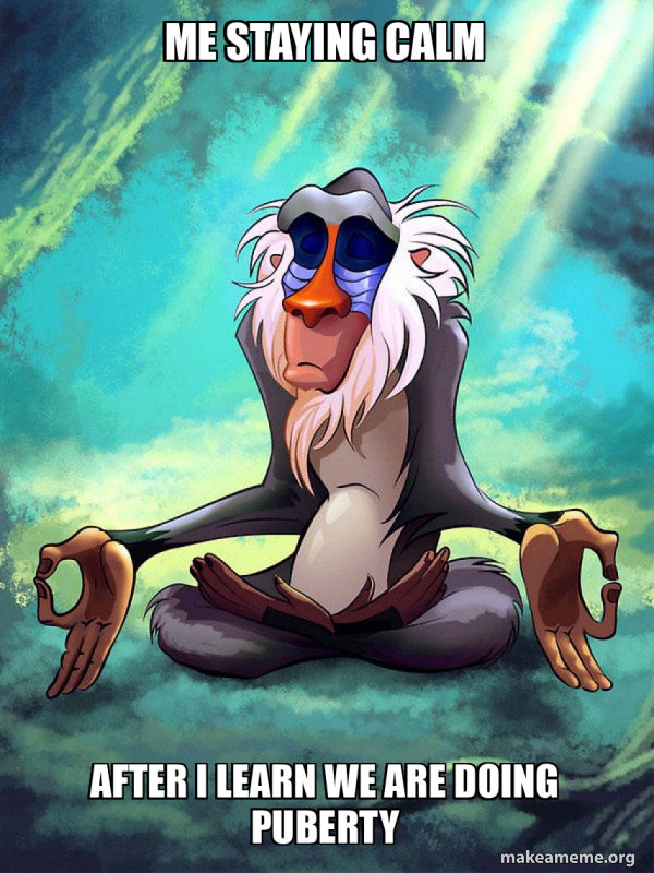 Rafiki Meditating - Lion King meme