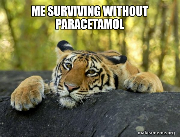 Confession Tiger meme