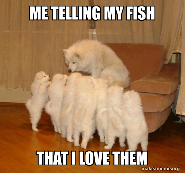 Storytelling Dog meme
