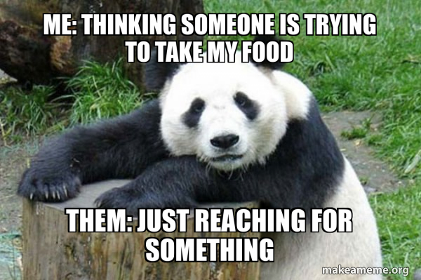 Confession Panda meme