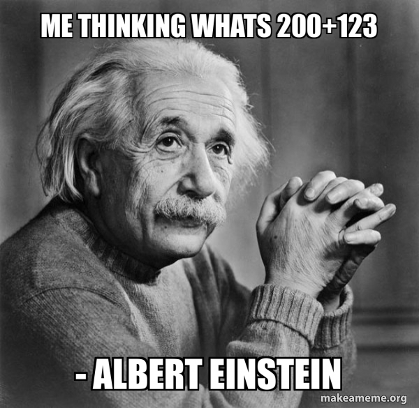 me thinking whats 200+123 - Albert Einstein - Serious Albert Einstein ...