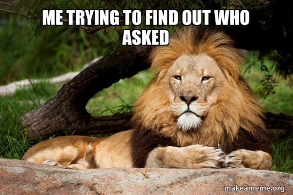 Contemplative Lion meme