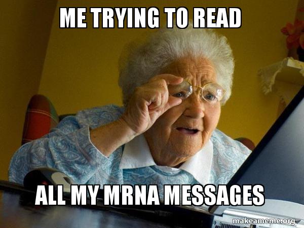 Internet Grandma meme