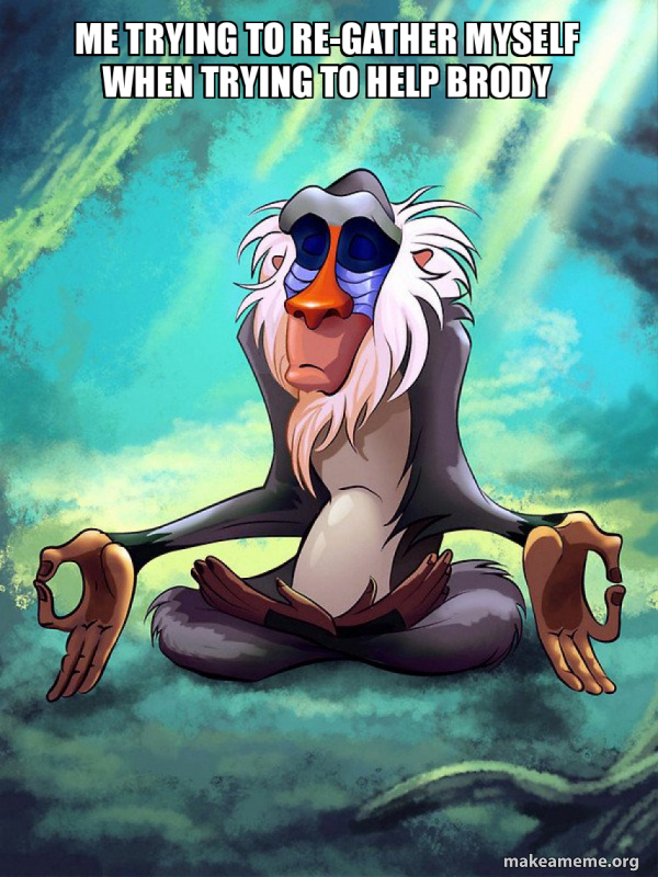 Rafiki Meditating - Lion King meme