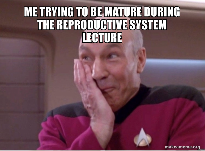Image result for reproductive system memes