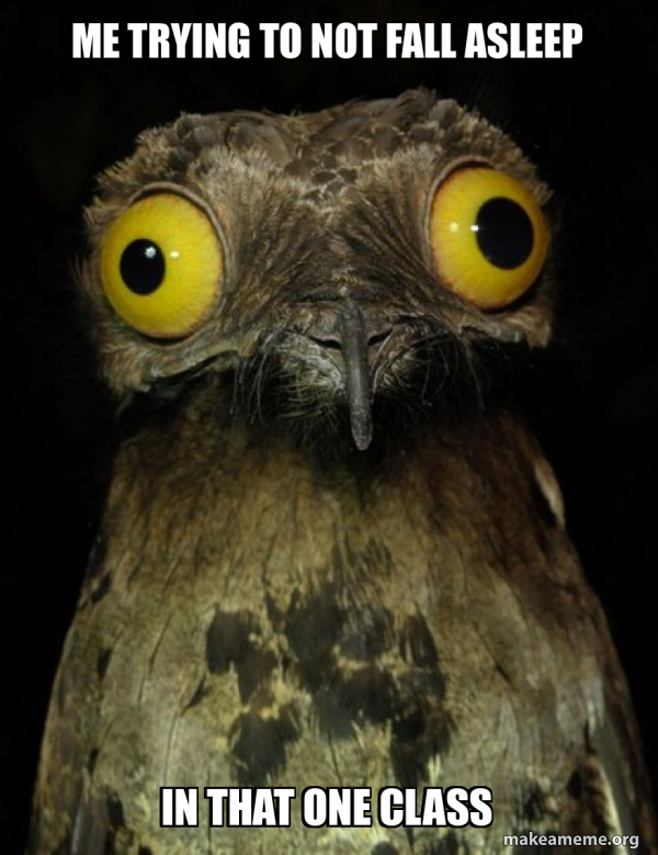 Weird Stuff I do Potoo meme