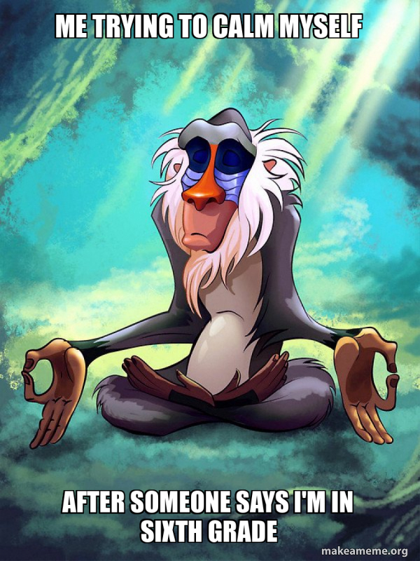 Rafiki Meditating - Lion King meme