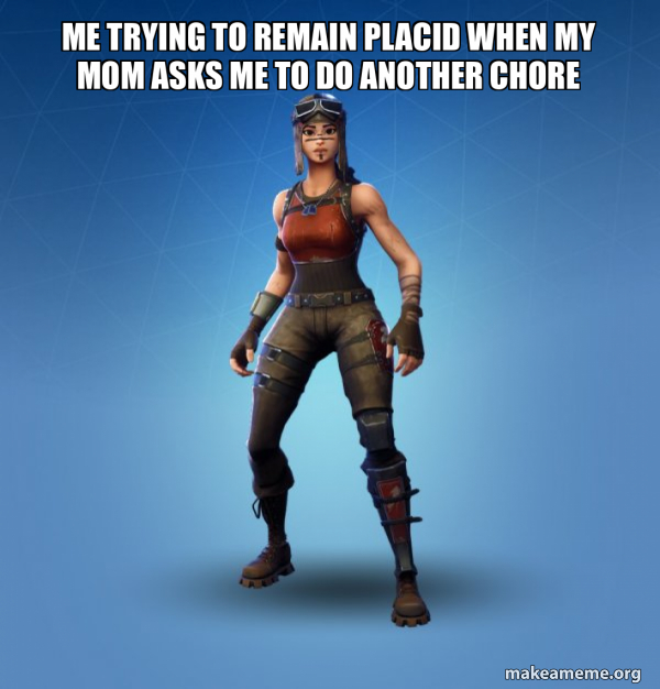 Renegade Raider Fortnite Skin meme