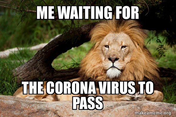 Contemplative Lion meme