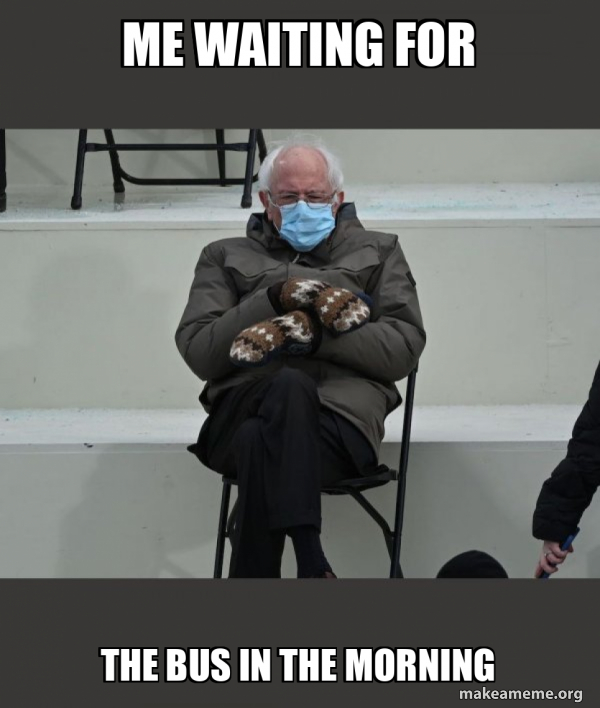 Bernie Sanders at the Inauguration meme
